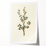 Vintage Grunge Botanical Print - Minimalist Greenery Canvas Wall Art