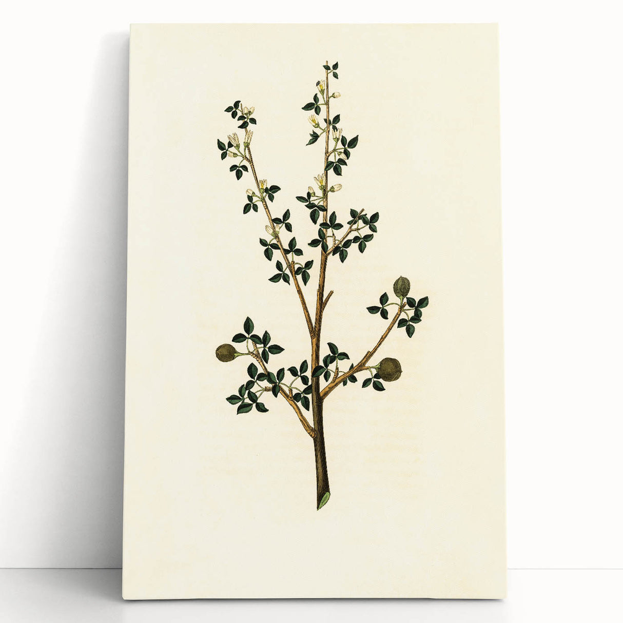 Vintage Grunge Botanical Print - Minimalist Greenery Canvas Wall Art
