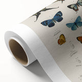 Vintage Grunge Butterfly Chart - Distressed Insect Canvas Wall Art