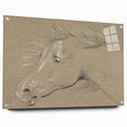 Grunge Aesthetic Art - Horse Sketch Canvas for Modern Decor Style