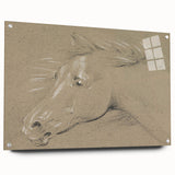 Grunge Aesthetic Art - Horse Sketch Canvas for Modern Decor Style