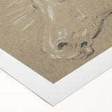 Grunge Aesthetic Art - Horse Sketch Canvas for Modern Decor Style