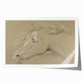 Grunge Aesthetic Art - Horse Sketch Canvas for Modern Decor Style