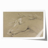 Grunge Aesthetic Art - Horse Sketch Canvas for Modern Decor Style