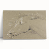 Grunge Aesthetic Art - Horse Sketch Canvas for Modern Decor Style
