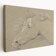 Grunge Aesthetic Art - Horse Sketch Canvas for Modern Decor Style