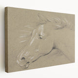 Grunge Aesthetic Art - Horse Sketch Canvas for Modern Decor Style