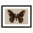 Grunge Aesthetic Art: Vintage Moth Illustration Grunge Canvas Print