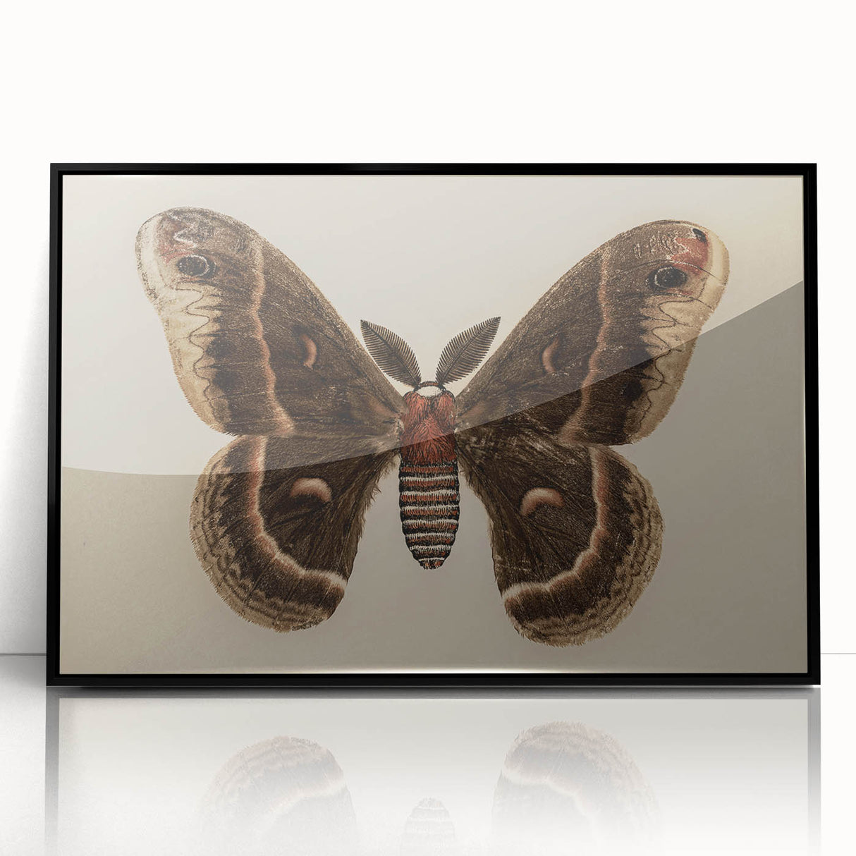 Grunge Aesthetic Art: Vintage Moth Illustration Grunge Canvas Print