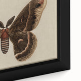 Grunge Aesthetic Art: Vintage Moth Illustration Grunge Canvas Print