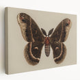 Grunge Aesthetic Art: Vintage Moth Illustration Grunge Canvas Print