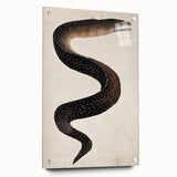 Abstract Grunge Art - Vintage Eel Design - Urban Grunge Canvas Print