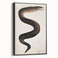 Abstract Grunge Art - Vintage Eel Design - Urban Grunge Canvas Print