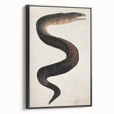 Abstract Grunge Art - Vintage Eel Design - Urban Grunge Canvas Print