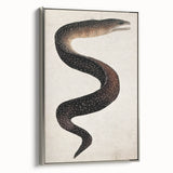 Abstract Grunge Art - Vintage Eel Design - Urban Grunge Canvas Print