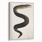 Abstract Grunge Art - Vintage Eel Design - Urban Grunge Canvas Print