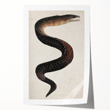 Abstract Grunge Art - Vintage Eel Design - Urban Grunge Canvas Print