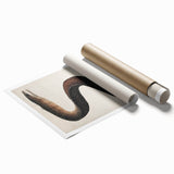 Abstract Grunge Art - Vintage Eel Design - Urban Grunge Canvas Print