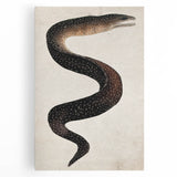 Abstract Grunge Art - Vintage Eel Design - Urban Grunge Canvas Print