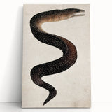 Abstract Grunge Art - Vintage Eel Design - Urban Grunge Canvas Print