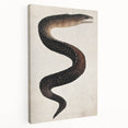 Abstract Grunge Art - Vintage Eel Design - Urban Grunge Canvas Print