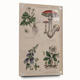 Grunge Botanical Poison Art - Vintage Mushroom and Floral Wall Print