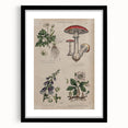 Grunge Botanical Poison Art - Vintage Mushroom and Floral Wall Print