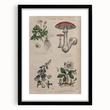 Grunge Botanical Poison Art - Vintage Mushroom and Floral Wall Print