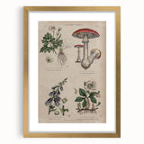Grunge Botanical Poison Art - Vintage Mushroom and Floral Wall Print