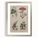 Grunge Botanical Poison Art - Vintage Mushroom and Floral Wall Print