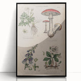 Grunge Botanical Poison Art - Vintage Mushroom and Floral Wall Print