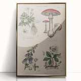 Grunge Botanical Poison Art - Vintage Mushroom and Floral Wall Print