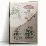 Grunge Botanical Poison Art - Vintage Mushroom and Floral Wall Print