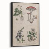 Grunge Botanical Poison Art - Vintage Mushroom and Floral Wall Print