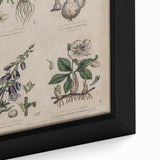 Grunge Botanical Poison Art - Vintage Mushroom and Floral Wall Print