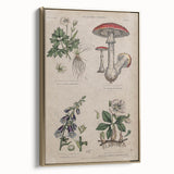 Grunge Botanical Poison Art - Vintage Mushroom and Floral Wall Print