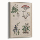Grunge Botanical Poison Art - Vintage Mushroom and Floral Wall Print