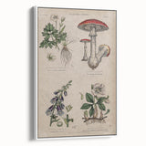 Grunge Botanical Poison Art - Vintage Mushroom and Floral Wall Print