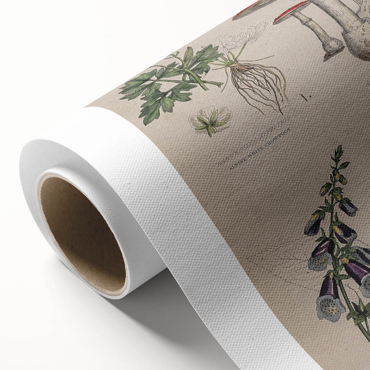 Grunge Botanical Poison Art - Vintage Mushroom and Floral Wall Print
