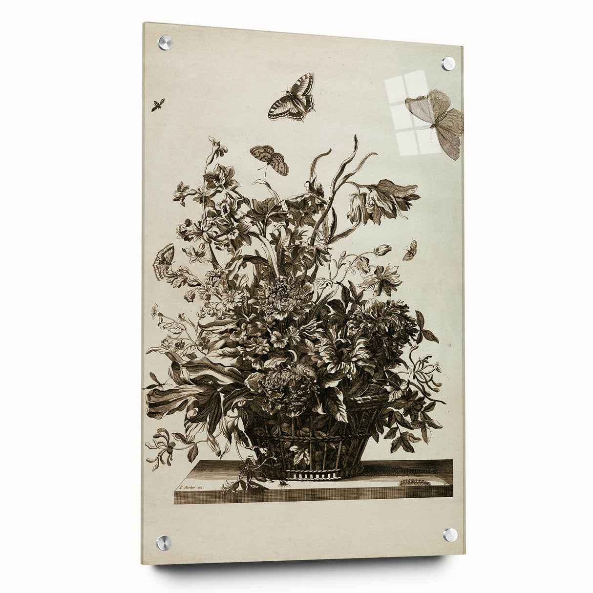 Distressed Grunge Botanical Print - Vintage Floral and Butterfly Art