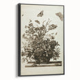 Distressed Grunge Botanical Print - Vintage Floral and Butterfly Art