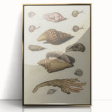 Vintage Grunge Seashell Illustration - Distressed Nautical Wall Art