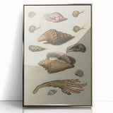 Vintage Grunge Seashell Illustration - Distressed Nautical Wall Art