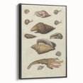 Vintage Grunge Seashell Illustration - Distressed Nautical Wall Art