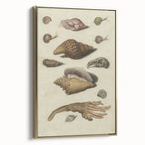 Vintage Grunge Seashell Illustration - Distressed Nautical Wall Art