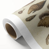 Vintage Grunge Seashell Illustration - Distressed Nautical Wall Art