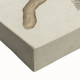 Vintage Grunge Seashell Illustration - Distressed Nautical Wall Art