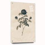 Vintage Grunge Rose Illustration - Distressed Botanical Floral Wall Art