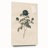 Vintage Grunge Rose Illustration - Distressed Botanical Floral Wall Art