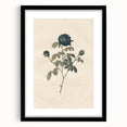 Vintage Grunge Rose Illustration - Distressed Botanical Floral Wall Art